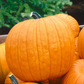 Howden Pumpkin Seeds online shopping