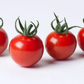 Mountain Merit Tomato