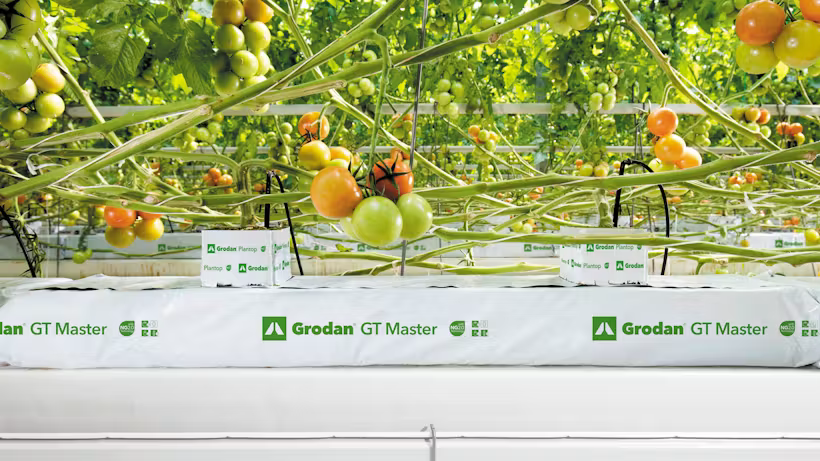 Grodan GT Master® Slab Vegetable Growing Rock Wool Hydroponics Substrate