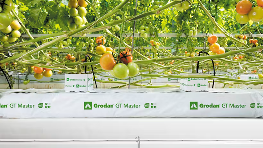 Grodan GT Master® Slab Vegetable Growing Rock Wool Hydroponics Substrate