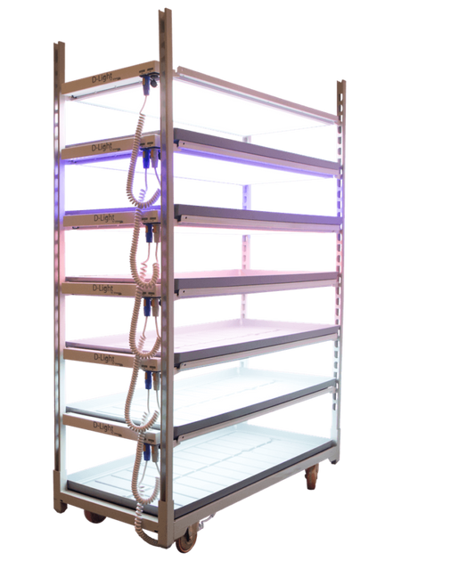 Viscon D Light Multi Layer Growing