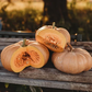 Moranga Pumpkin