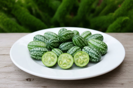 Cucamelon Cucumber Seeds online shopping