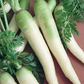 Lunar White Carrot