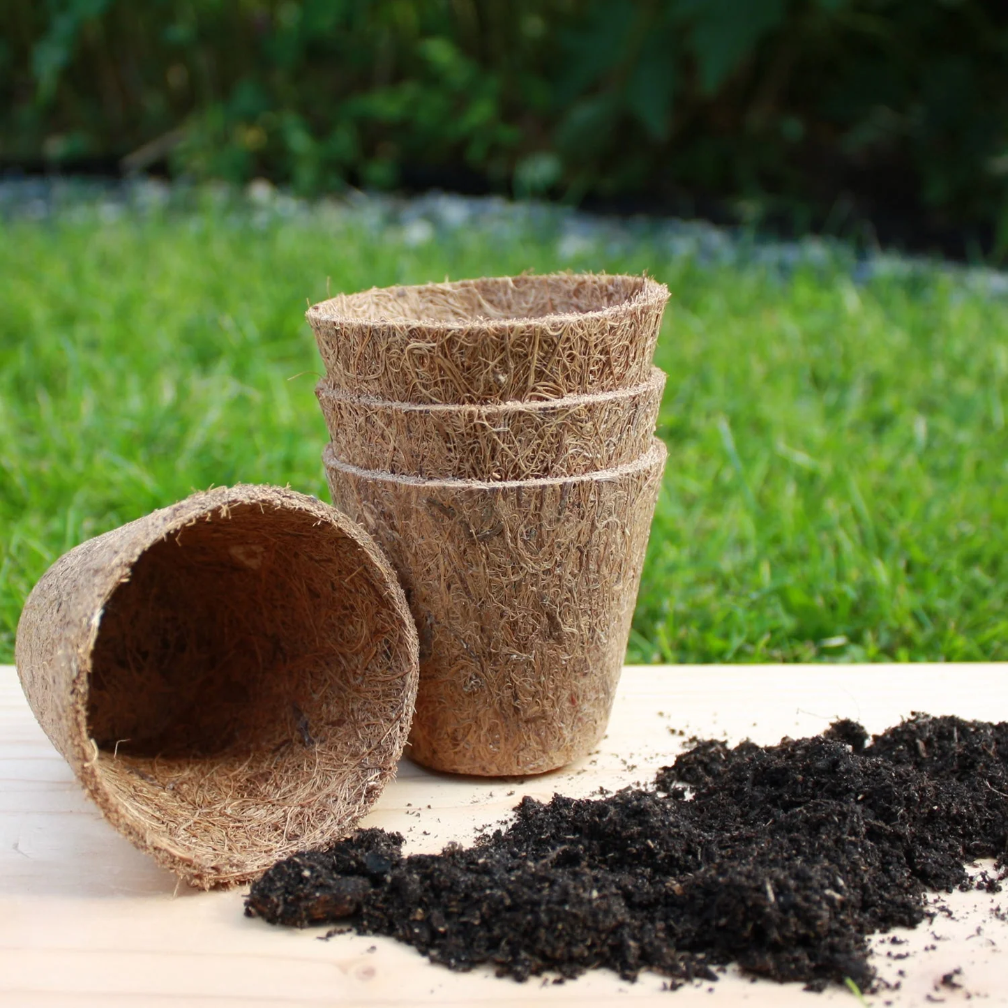 coconut fibre for pot plants Rubberized Organic Coco Coir Seedling Starter Pots – EVERGREEN