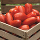 La Roma Tomato