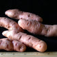 Rose Finn Apple Fingerling Heirloom Seed Potato online shopping