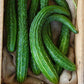 Suyo Long Organic Cucumber Seeds online shopping