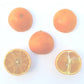 US 119 Duncan Grapefruit x Trifoliate X Succory Sweet Orange Trifoliate Hybrid Budwood citrus plant material online shopping