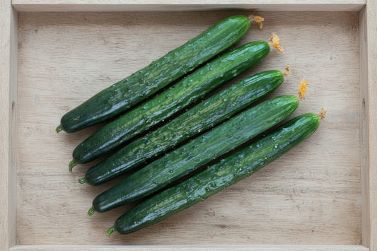 Tasty Green F1 Cucumber Seeds online shopping