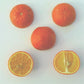Benton Citrange Trifoliate Hybrid Budwood citrus plant material online shopping