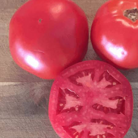 Red Racer Tomato
