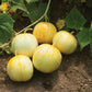 Lemon Cucumber