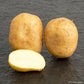Arizona Gold Seed Potato online shopping