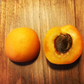 Capilano Sweet Freestone Apricot Self Fertile Hardy Tree Fruit