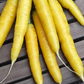 Gold Nugget Carrot