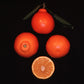 Minneola Tangelo Plant citrus plant material online shopping