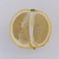 Bergamot Sour Orange Hybrid Budwood citrus plant material online shopping