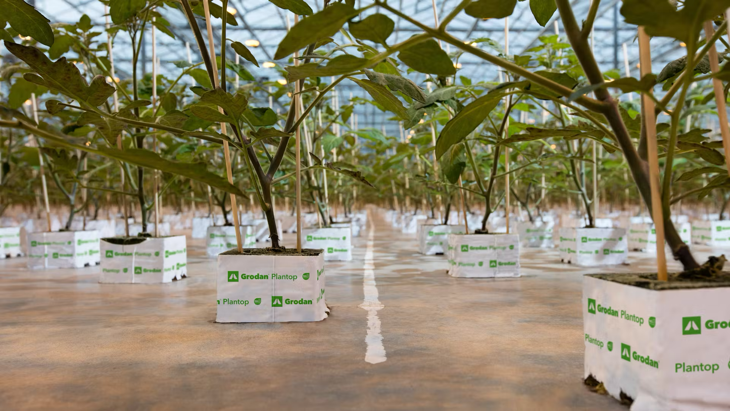 Grodan Plantop Block Propagation Rock Wool Hydroponics Substrate