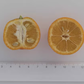 Chinotto Sour Orange Budwood citrus plant material online shopping