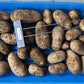 Gold Rush Potato online shopping
