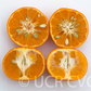 Robinson Mandarin Budwood citrus plant material online shopping
