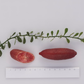 Pink Sunset Australian Finger Lime Budwood citrus plant material online shopping