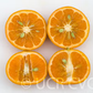Kinnow Mandarin Hybrid Budwood citrus plant material online shopping