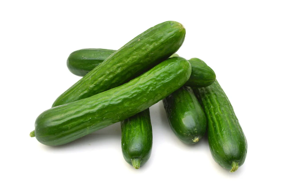 Ishtar F1 Cucumber Seeds online shopping