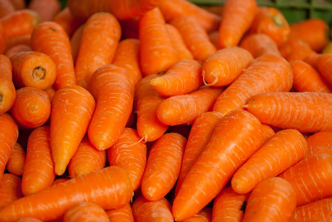 Kuroda Nova Carrot