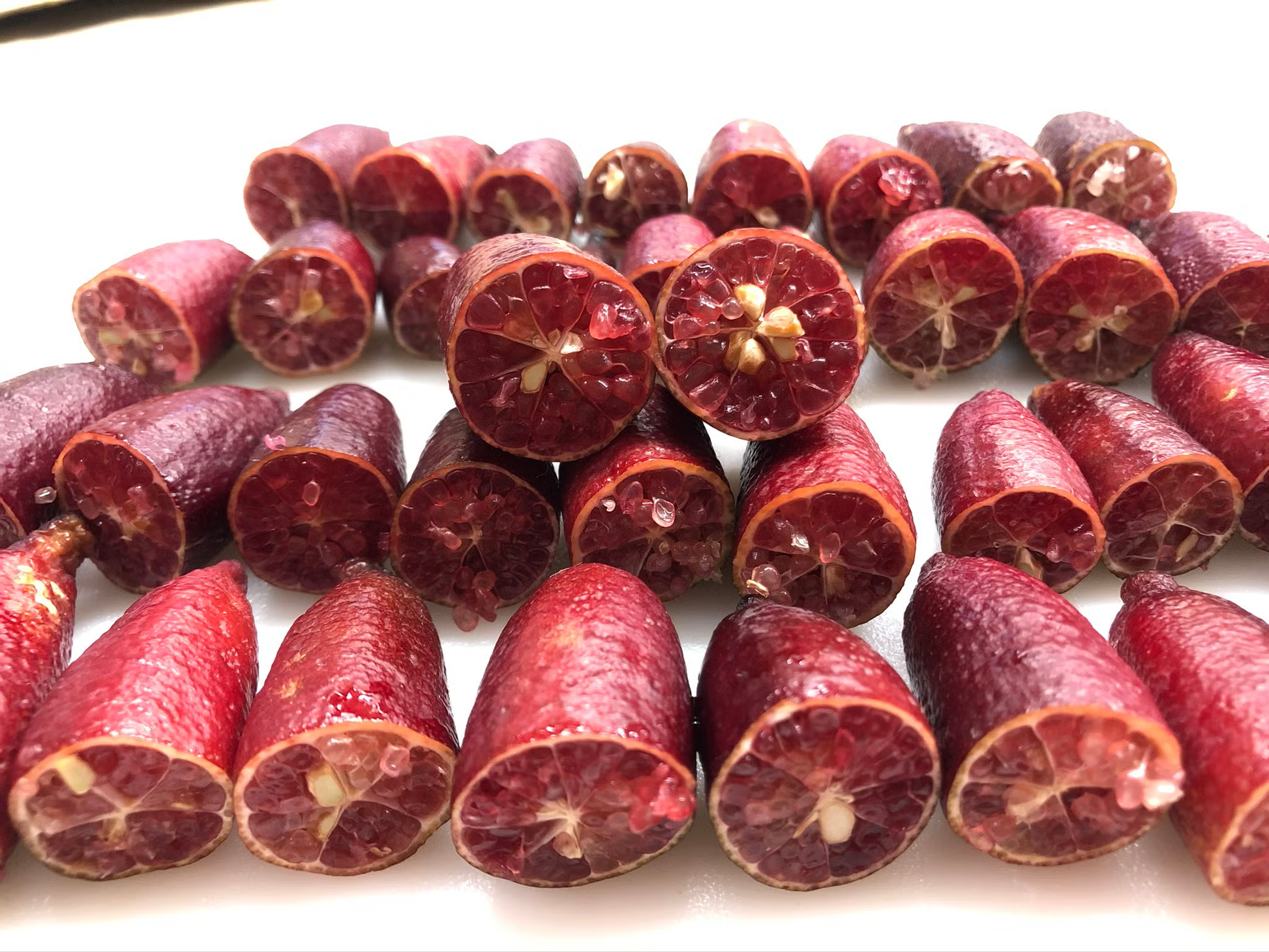 Maroon Gem Australian Finger Lime Budwood citrus plant material online shopping
