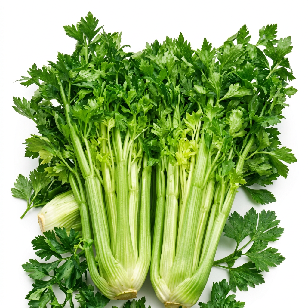 Tall Utah 52-70 Celery