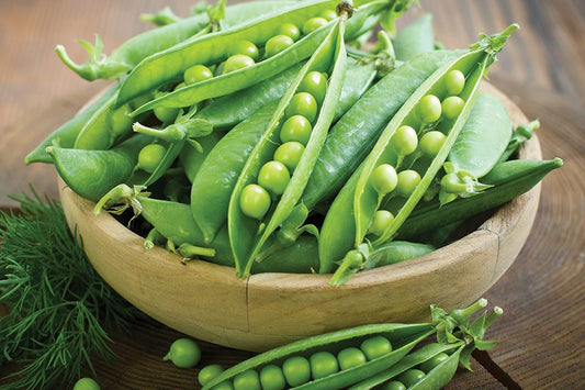 Sugar Daddy Snap Pea Seeds online shopping