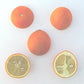 Troyer Citrange Trifoliate Hybrid Budwood citrus plant material online shopping