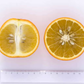 Fraser Seville Sour Orange Budwood citrus plant material online shopping