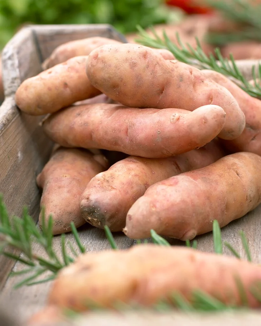 Pink Fir Apple Heritage Potato online shopping