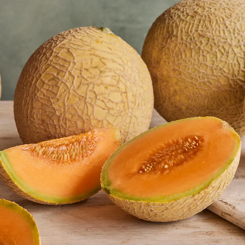 Tasty Bites F1 Melon
