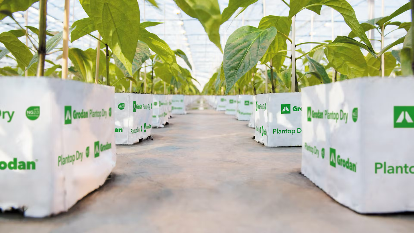 Grodan Plantop Dry Block Propagation Rock Wool Hydroponics Substrate