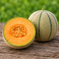 Halona F1 Melon