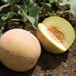 San Juan F1 Melon