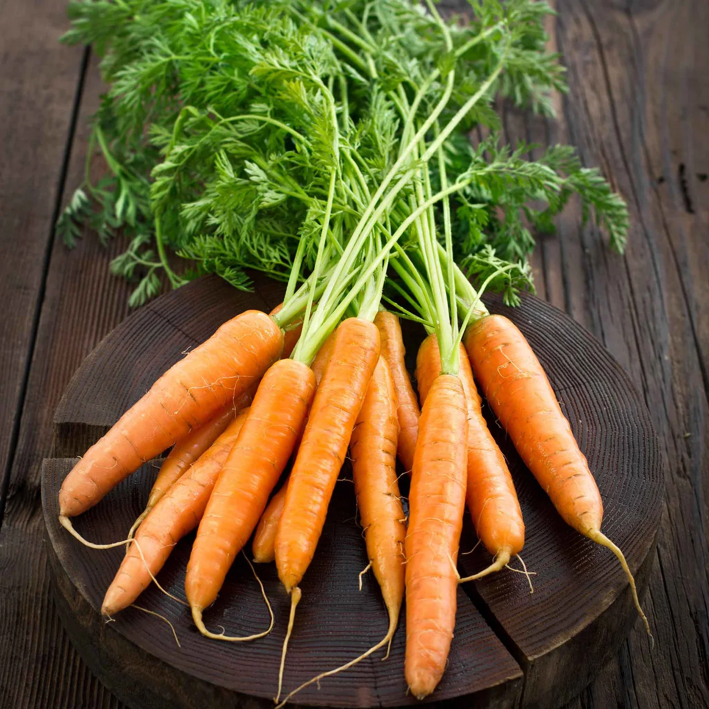 Little Fingers Carrot