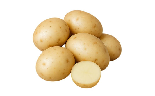 Early Valley Seed Potato online shopping