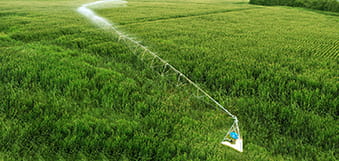 Valley Small Field Centre Pivot