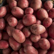 Clancy F1 Pelleted Potato Seeds online shopping