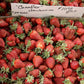 Chandler June Bearing Strawberry