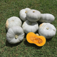 Mint Prince F1 Pumpkin Seeds online shopping