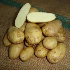 French Charlotte Seed Potato online shopping