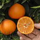 Nour Clementine Budwood citrus plant material online shopping
