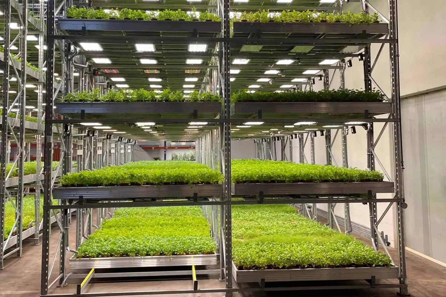 Active Aqua 4' Wide Infinity Tray  Ebb and Flow Flood Table