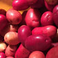 Clancy F1 Pelleted Potato Seeds online shopping